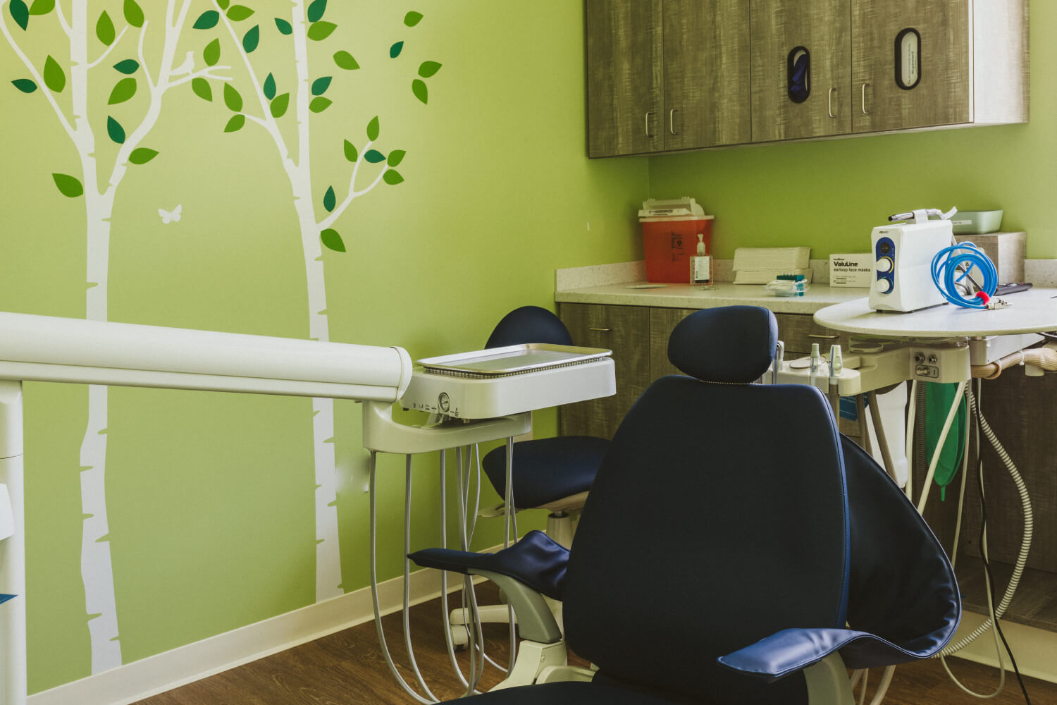 Pediatric Dentist in Burton Sunflower Pediatric Dentistry
